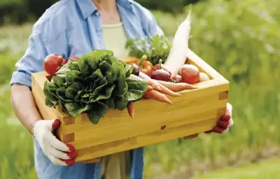 Pontos Diversos debate decisões sustentáveis na Semana do Meio Ambiente